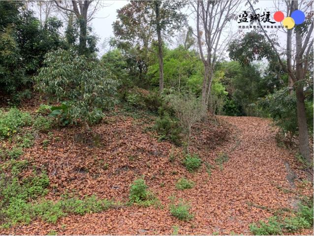 中寮農地_山坡地-5