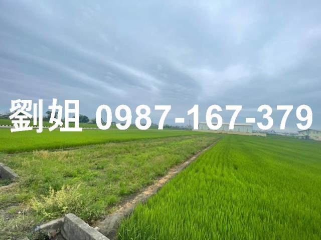 高雄大寮農地-2