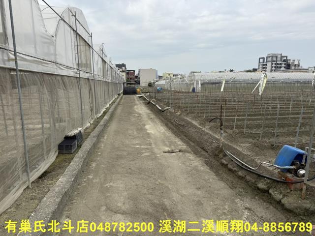 彰化北斗農地-6