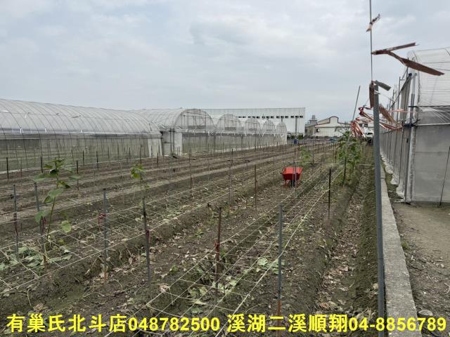 彰化北斗農地-9