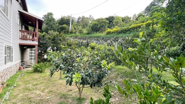 新竹峨眉農地_山坡地-10