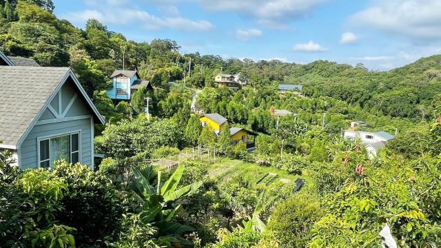 新竹峨眉農地_山坡地-11