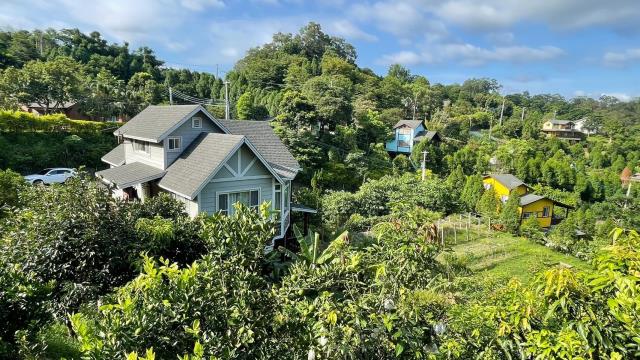 新竹峨眉農地_山坡地-4
