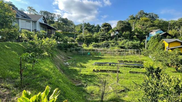 新竹峨眉農地_山坡地-5