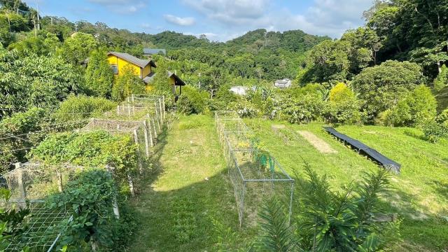 新竹峨眉農地_山坡地-6
