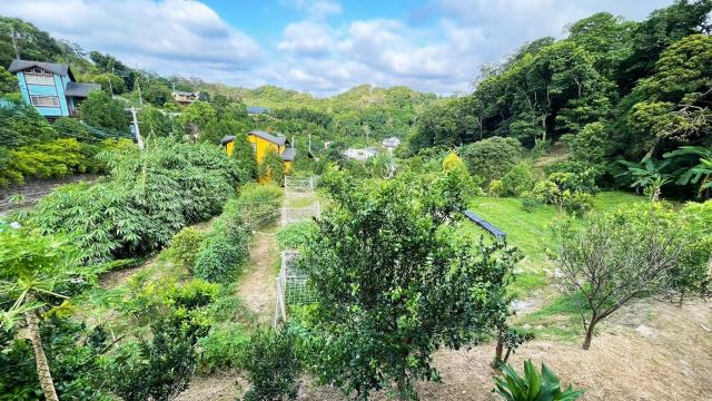 新竹峨眉農地_山坡地-7
