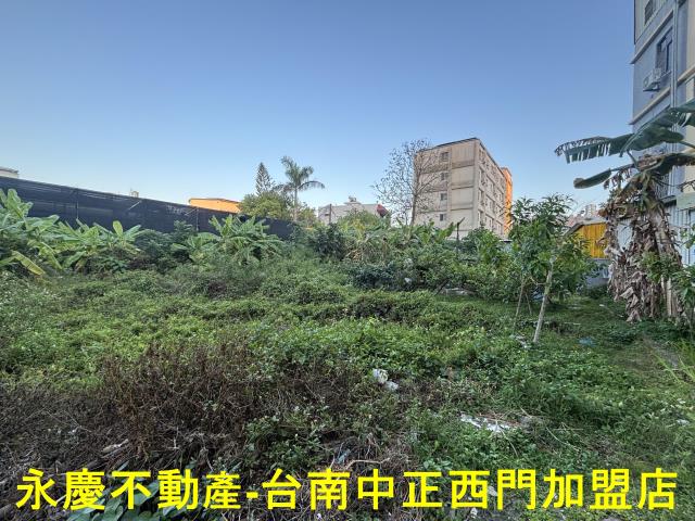 台南永康建地_道路地-1
