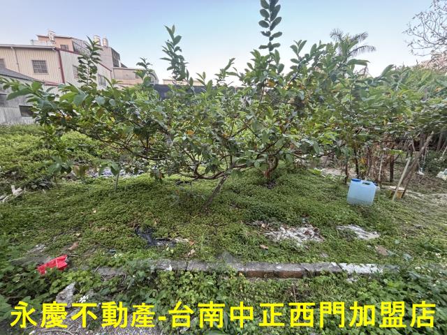 台南永康建地_道路地-6