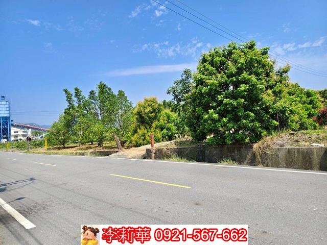 台南楠西農地_建地-3