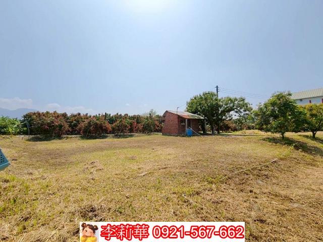 台南楠西農地_建地-5