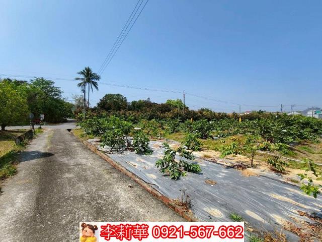 台南楠西農地_建地-9