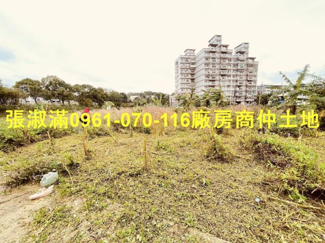 桃園農地_休閒地-2