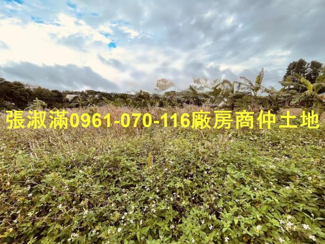 桃園農地_休閒地-3