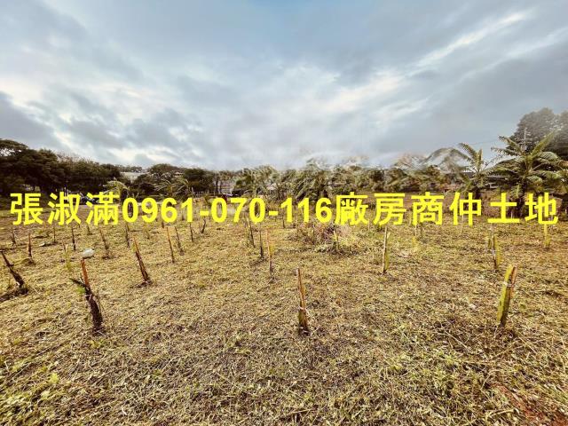 桃園農地_休閒地-4