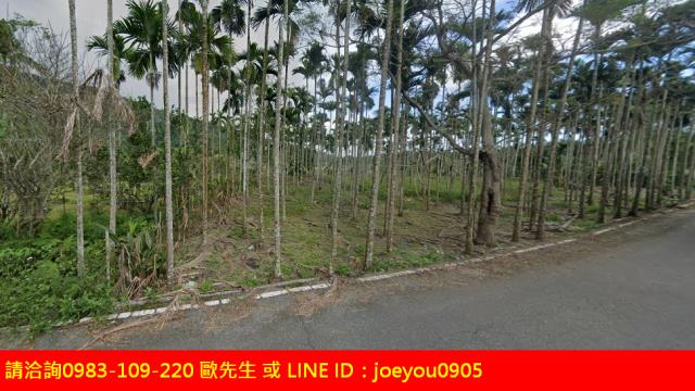 花蓮法拍農地-10