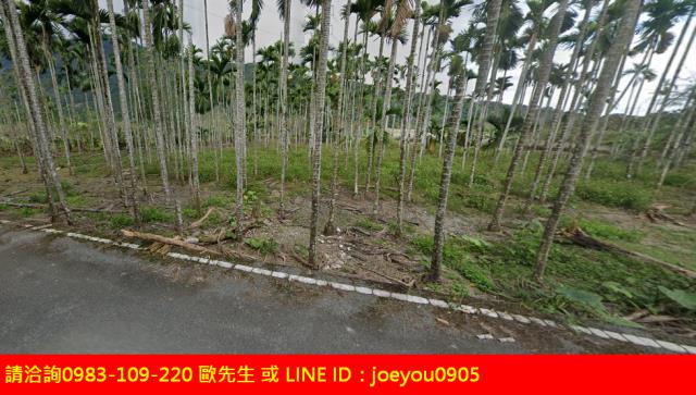 花蓮法拍農地-3