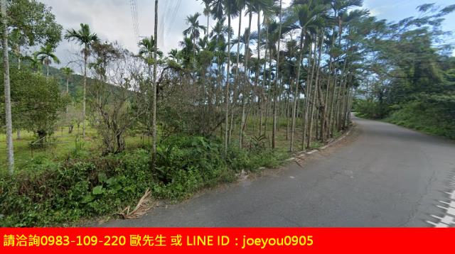 花蓮法拍農地-9