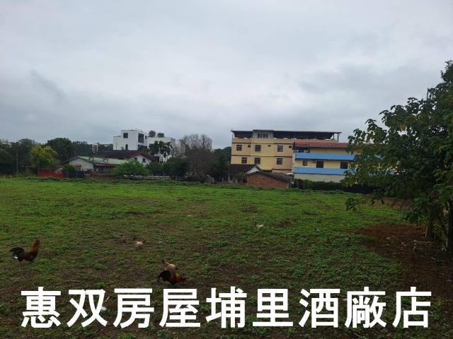 南投埔里建地_住宅地-2