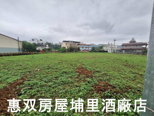南投埔里建地_住宅地-6