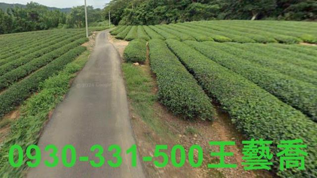 龍潭農地_林地-10