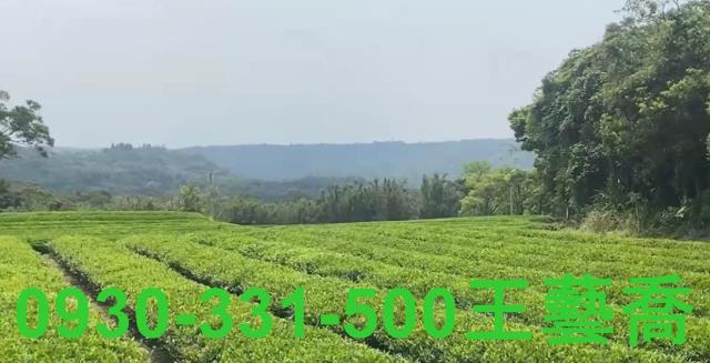 龍潭農地_林地-2