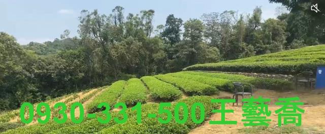 龍潭農地_林地-3