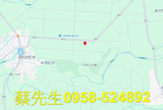 嘉義法拍農地-8