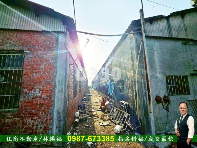 雲林水林農地_豬舍-14
