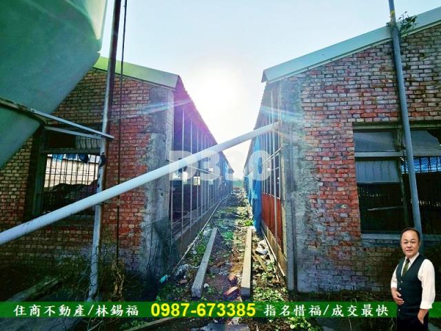 雲林水林農地_豬舍-7
