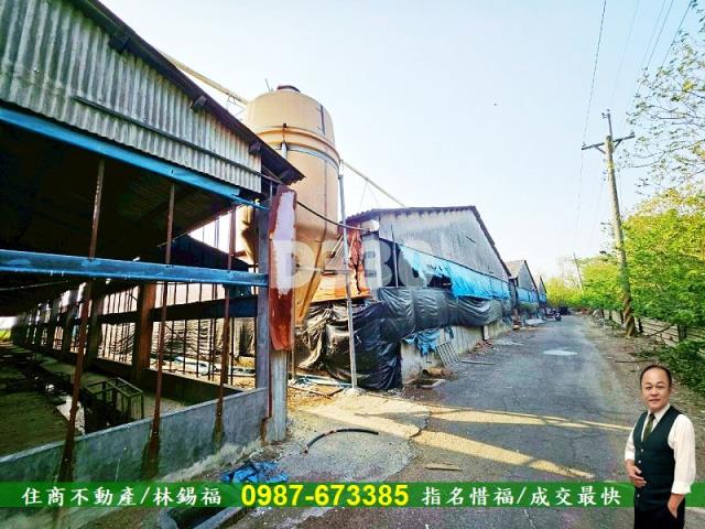 雲林水林農地_豬舍-8