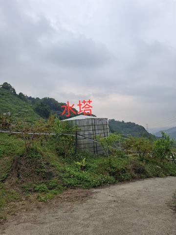 東勢農地_山坡地_休閒地-12