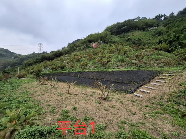 東勢農地_山坡地_休閒地-2