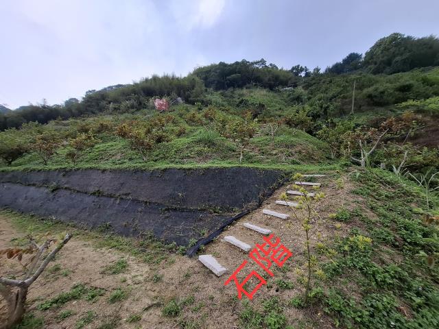 東勢農地_山坡地_休閒地-3