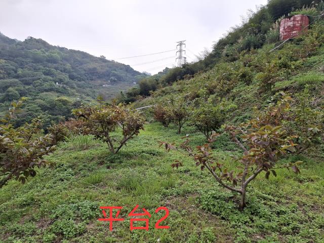 東勢農地_山坡地_休閒地-5