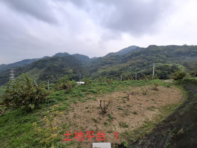 東勢農地_山坡地_休閒地-7