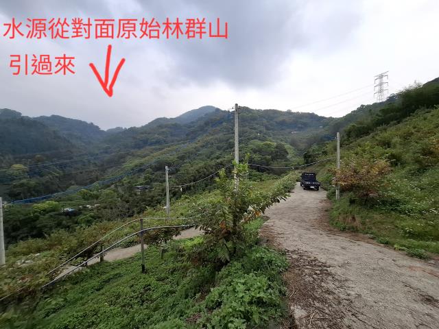 東勢農地_山坡地_休閒地-8