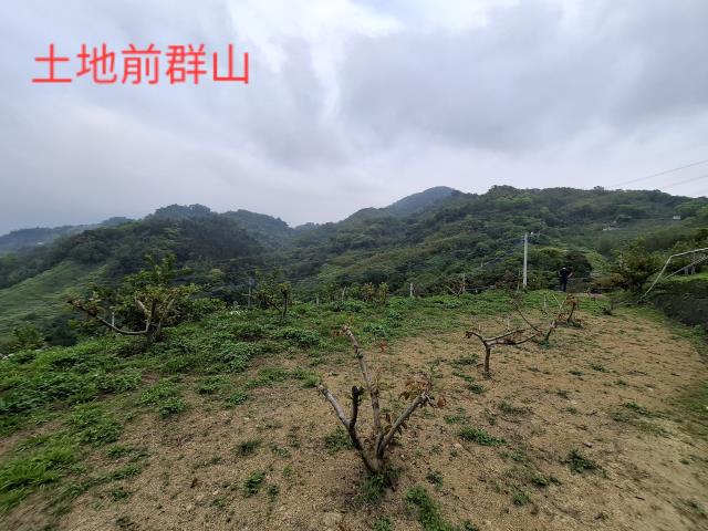 東勢農地_山坡地_休閒地-9