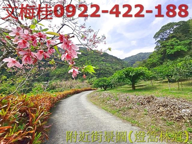 員山農地_建地-6
