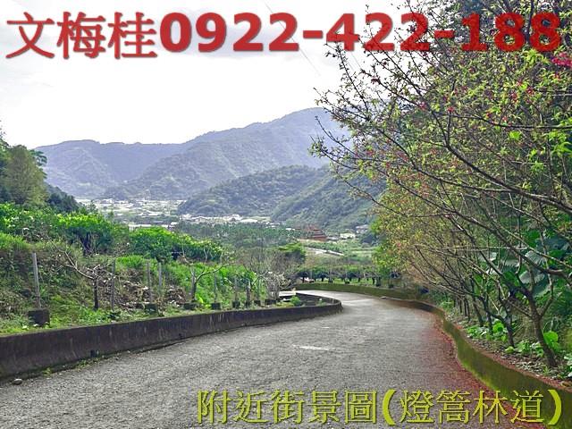 員山農地_建地-8