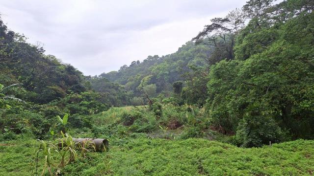 苗栗農地_山坡地_休閒地-11