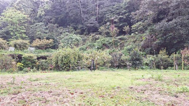 苗栗農地_山坡地_休閒地-9