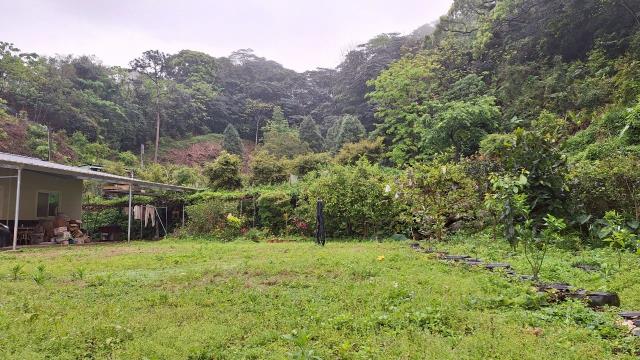 苗栗農地_山坡地_休閒地-10