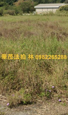 台南白河農牧用地法拍-9