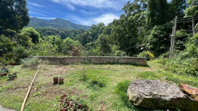 新竹橫山山坡地_林地-4