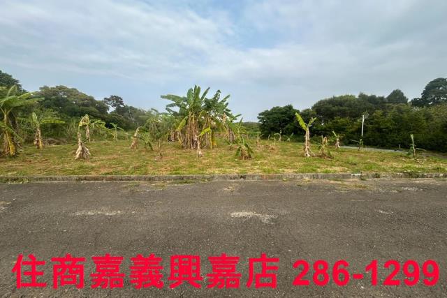 東區農地-10