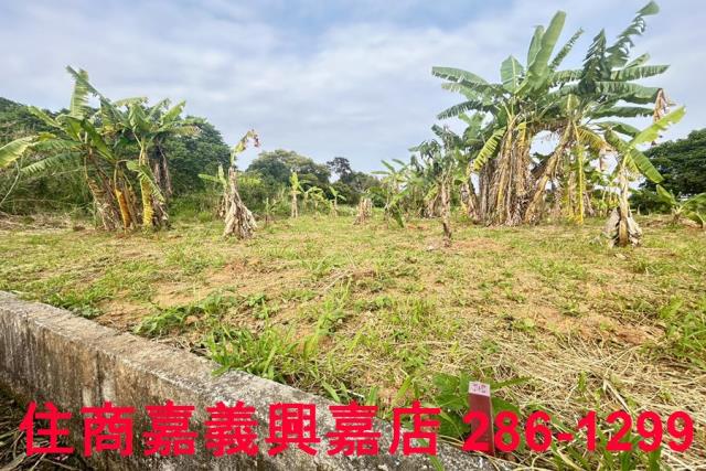 東區農地-3