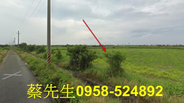 將軍農地法拍-6