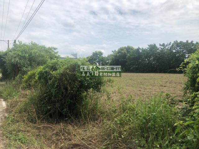 民雄農地-7