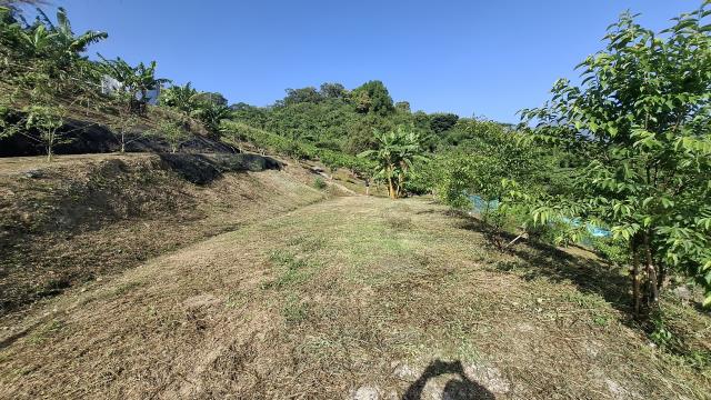 台中農地_山坡地_休閒地-10