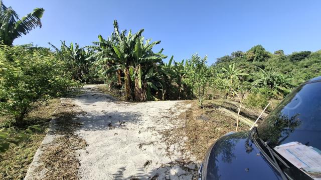 台中農地_山坡地_休閒地-14